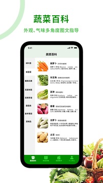 爷爷的小菜院